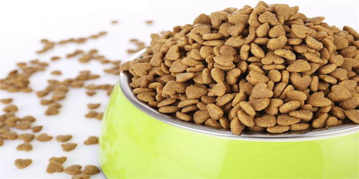 Introduction To Pet Food Production Line