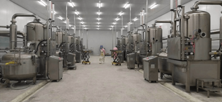 Fruit and vegetable crisping equipment processing line.png