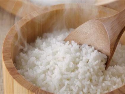 Linha de Produção de Arroz Nutricional Automatizada de Alto Rendimento